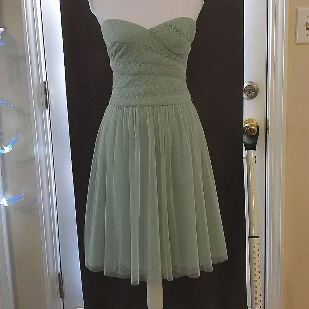 BCBGMaxAzria Mint Green Tulle Party Dress Size 4